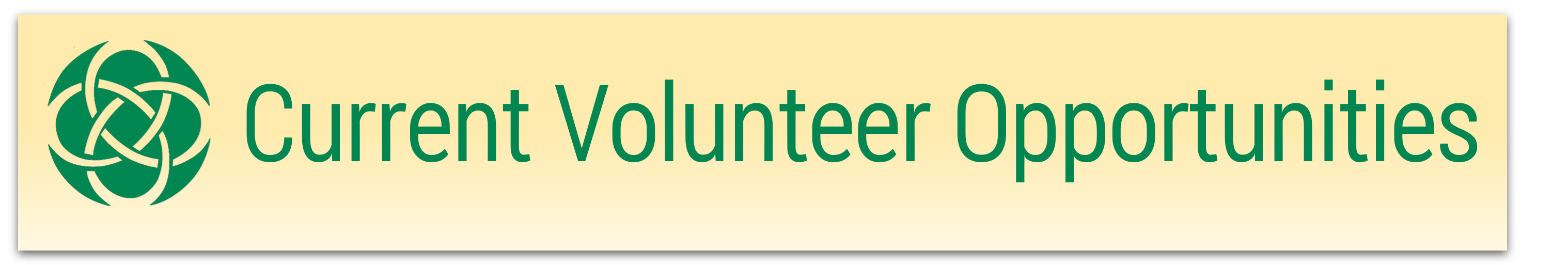 Current Volunteer Opportunities